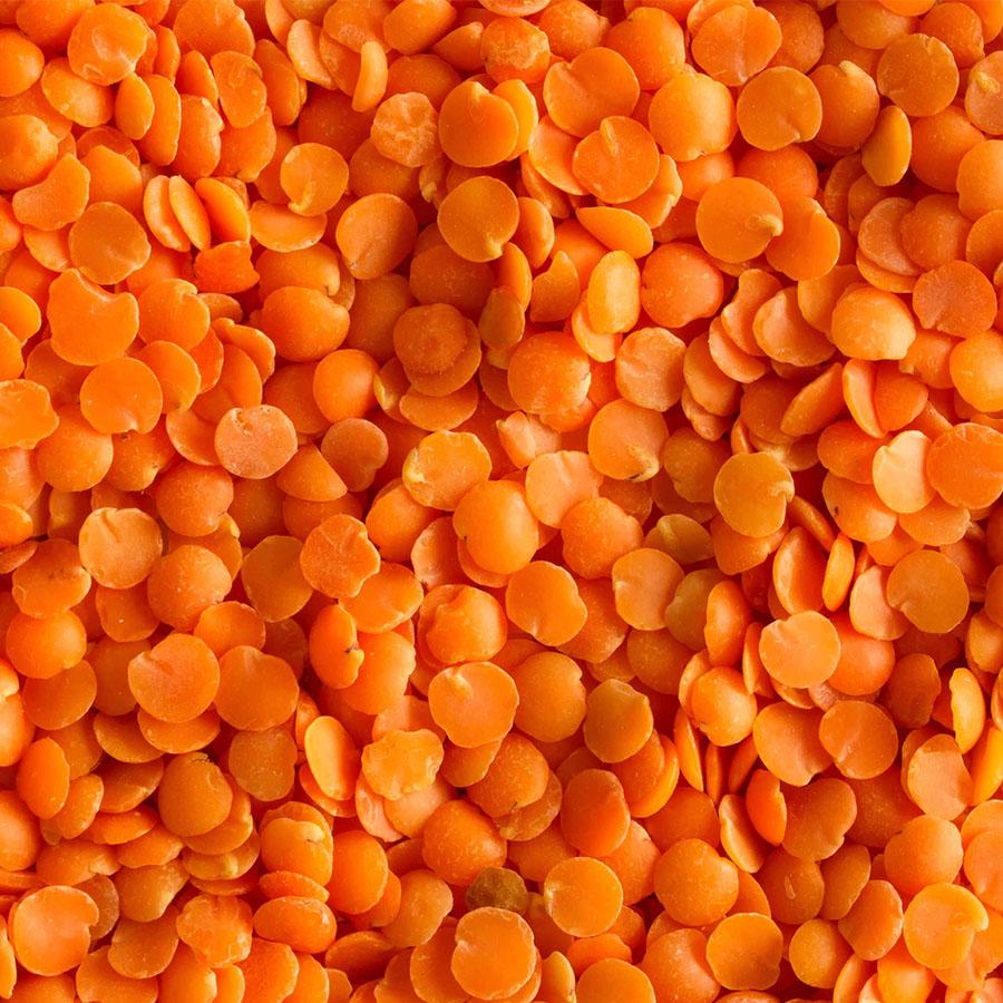 INDIAN MASOOR DAL [ HOUSE BRAND ] IN STOCK