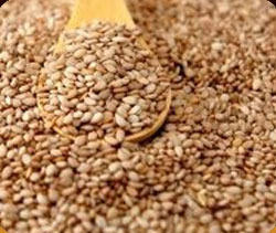 Toasted Golden Sesame Seeds [ HOUSE BRAND ] IN STOCK
